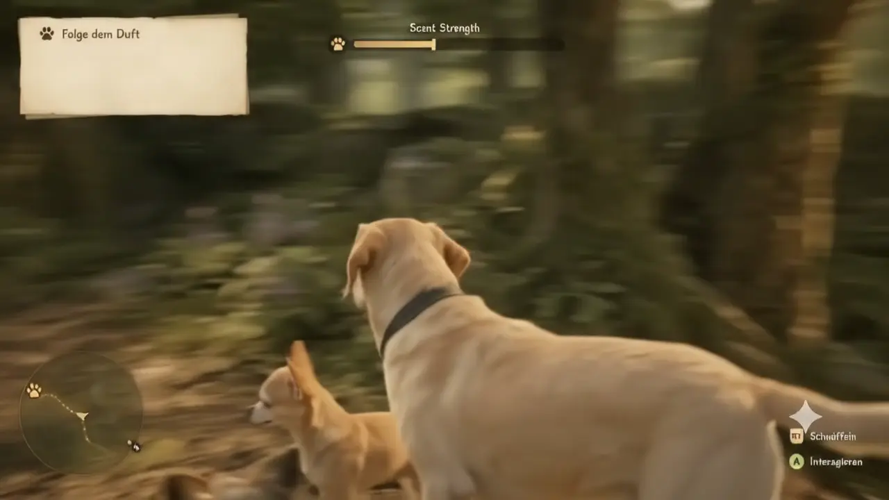 Concept Visual der drei Hunde auf einem Waldweg